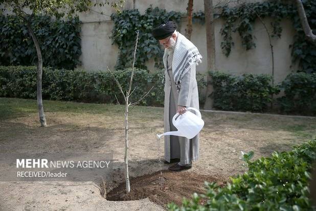 درختکاری؛ تجدید پیمان با زمین در نگاه رهبر شهید انقلاب