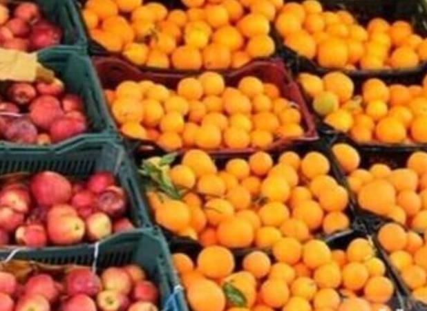 ذخیره ۴۰۰۰ تن مرکبات در میاندورود