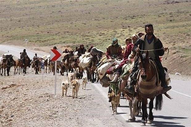 جامعه عشایری در تولید و اقتصاد گلستان مؤثر هستند