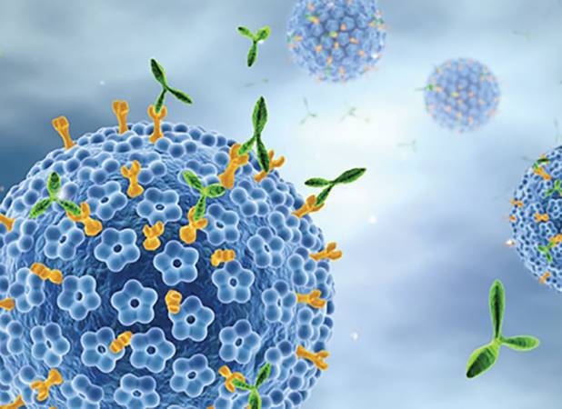 ۴ عفونتی که می‌توانند عامل ابتلا به سرطان باشند