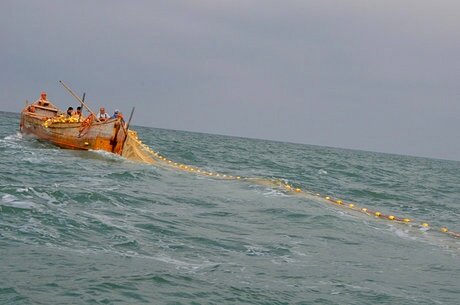 ممنوعیت صید ساردین و موتو ماهیان در آب‌های قشم از ۱۵ اسفند