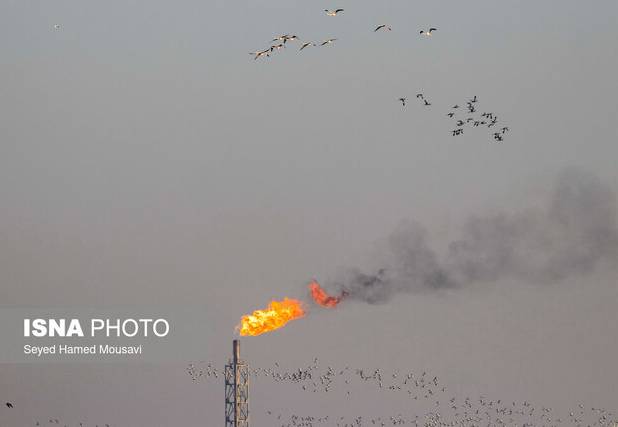 وضعیت «ناسالم» هوا در ۵ شهر خوزستان