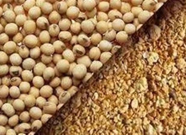 پیشنهاد جایگزینی دانه سویا با کنجاله در لیست تهاتر نفت