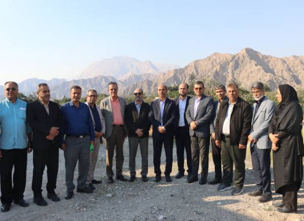 برداشت سالانه ۳۰۰ هزار تن محصول کشاورزی در شهرستان دشتی