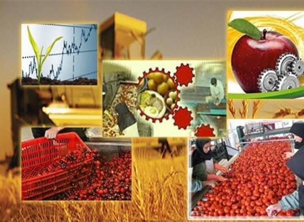 ۵ هزار طرح صنعتی حوزه کشاورزی نیمه کاره رها شده است