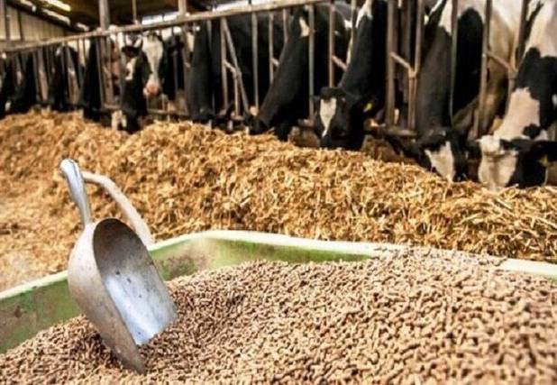 کُندی دادوستد نهاده دامی میان بازرگان و تولیدکنندگان در خراسان شمالی