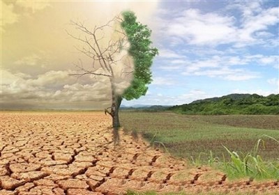 "گیاه کاپاریس" راه‌حلی برای بیابان‌زدایی ایران؟