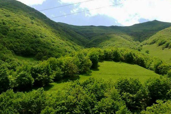 امضا تفاهم نامه در راستای  پویش «ایران سرسبز-ایران قوی»