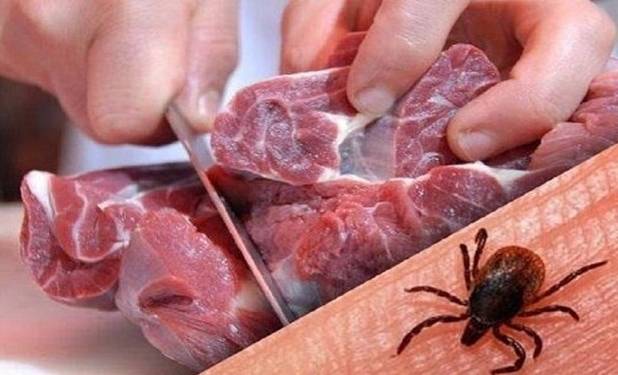 هشدار دامپزشکی برای تب کریمه کنگو