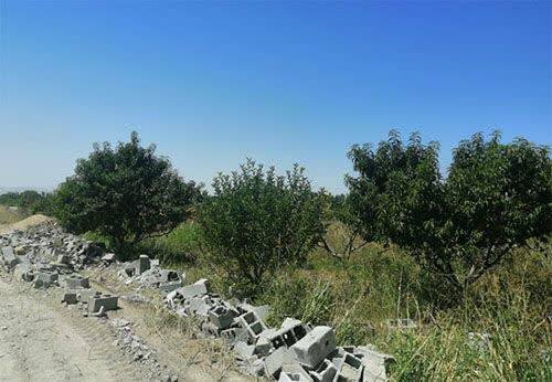 اجرای بیش از ۸۲۷ حکم قلع‌ و قمع در اراضی کشاورزی شهرستان ارومیه