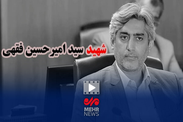 بدون تعارف با خانواده دانشمند هسته‌ای، شهید امیرحسین فقهی