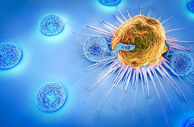 اجرای برنامه‌های غربالگری سرطان در شهرستان خاتم گسترش می‌یابد