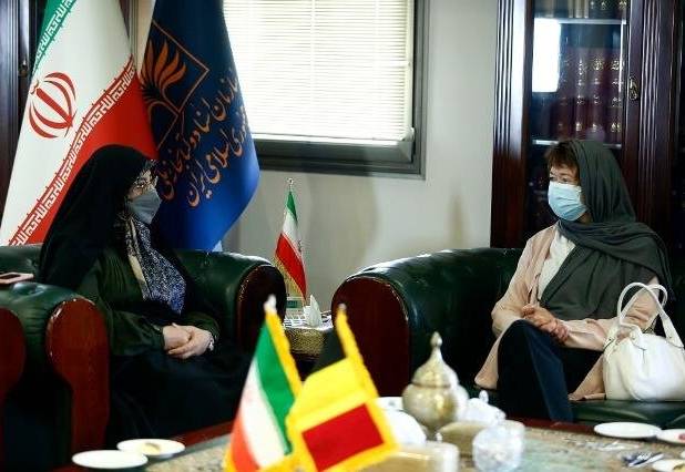 لزوم گسترش همکاری‌های فرهنگی ایران و بلژیک