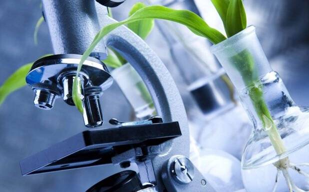 کسب رتبه‌های برتر در کارسوق ملی مهندسی ژنتیک توسط دانش‌آموزان هرمزگانی