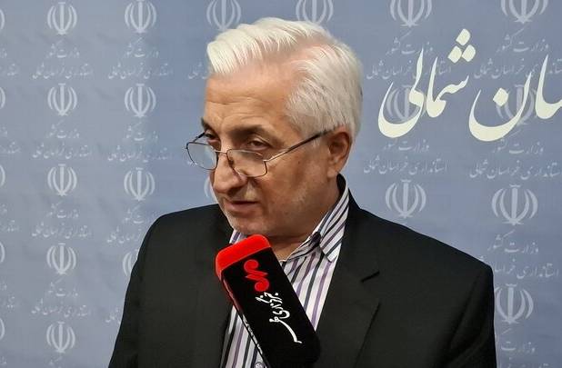 مردم در صیانت از انقلاب اسلامی همچنان در صحنه هستند