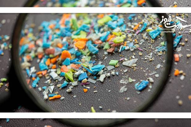 چه غذاهایی بیشترین ذرات پلاستیک را دارند؟
