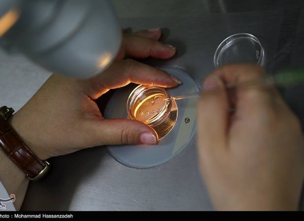 "فریز تخمک در دمای منفی ۹۶ درجه" راهی برای مادر شدن در آینده