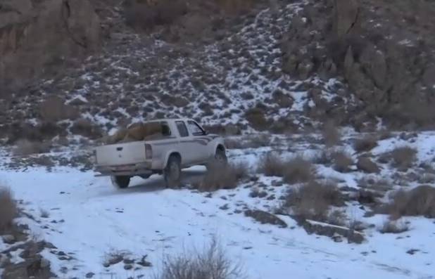 عباس نژاد: آمادگی محیط‌بانان برای شرایط برفی و صعب‌العبور الزامی است