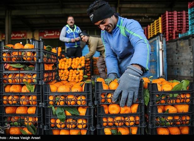 نوبری‌های پاییز؛ هنوز هم گران