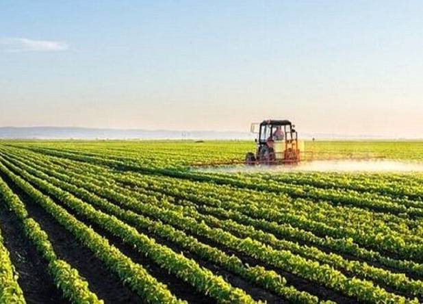 مهمترین محورهای تقویت تاب‌آوری کشاورزی 
