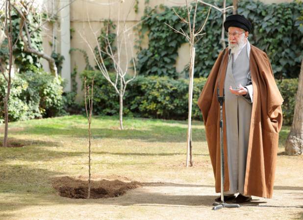 امسال یک درخت هم به یاد او خواهم کاشت