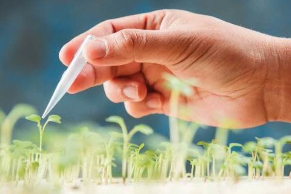 اعطای جایزه به چهره تأثیرگذار بیوتکنولوژی کشور