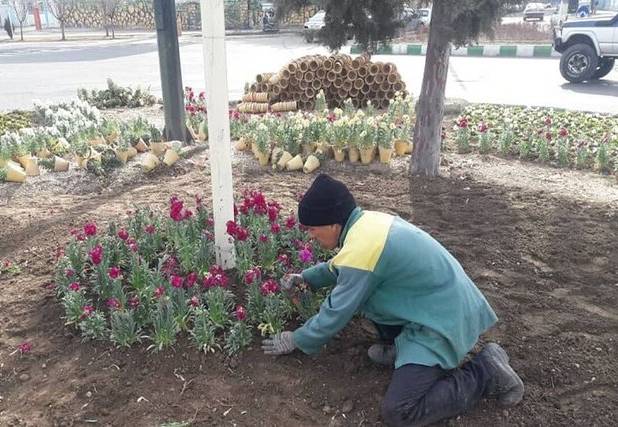 کاشت یک میلیون گل گلدانی در بجنورد در آستانه نوروز