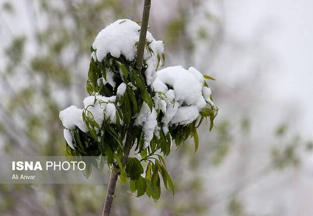 آغاز بارش برف و باران در گیلان از فردا