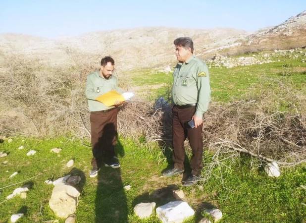 رفع تصرف اراضی ملی منطقه «پاعلم» لرستان