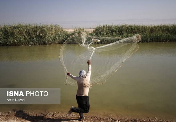 آغاز فصل ممنوعه صید ماهی در آب‌های داخلی خوزستان