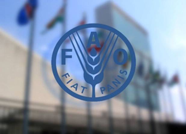 معرفی نخستین کنگره بین‌المللی واکسن و واکسیناسیون توسط فائو