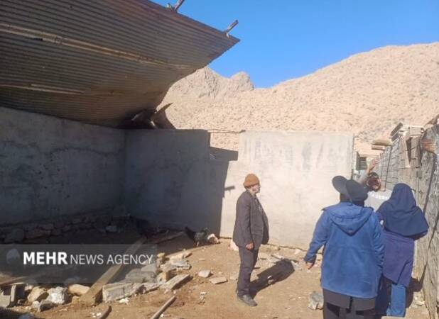 خسارت طوفان به دامداری در مهدیشهر؛ پیگیری حمایت‌های اعتباری از دامدار