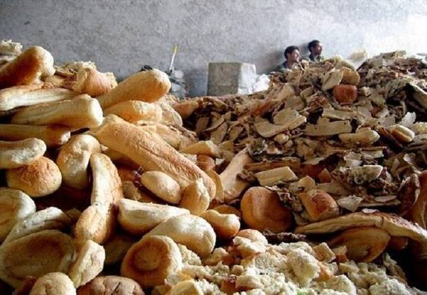 تشدید نظارت‌ها برای جلوگیری از ورود نان به آخور دام‌های خراسان شمالی