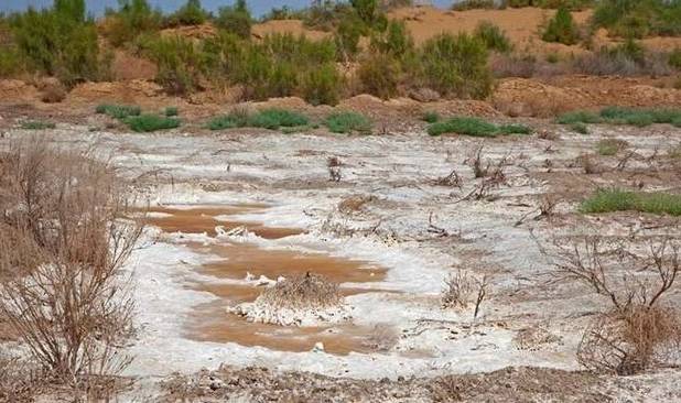 معاون وزیر کشاورزی: خاک یک میلیون هکتار از اراضی کشور سدیمی است