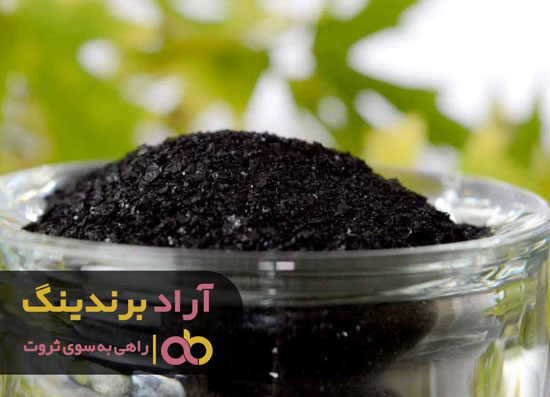 به کمک کود گنج زندگی‌ام را یافتم