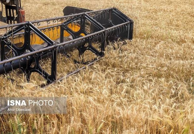 تغییر الگوی کشت و کشاورزی حفاظتی راهکار مقابله با بحران منابع آب و خاک