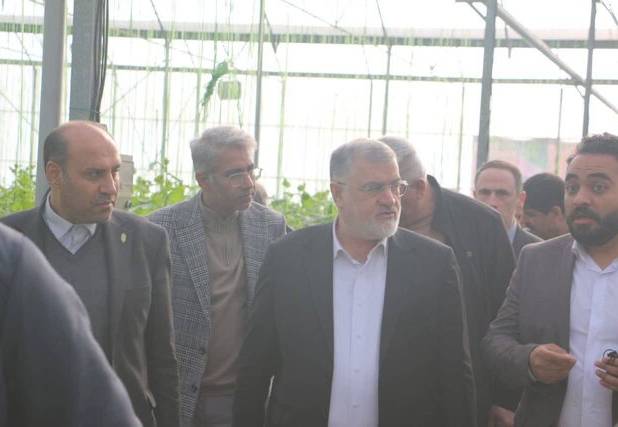 توسعه گلخانه‌ها یکی از محورهای اصلی امنیت غذایی استان تهران است