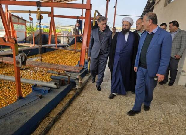 تاکید فرماندار رودسر به نقش صنایع تبدیلی در اقتصاد منطقه