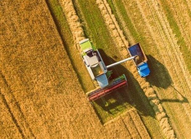 قیمت خرید تضمینی گندم بازنگری می شود؟