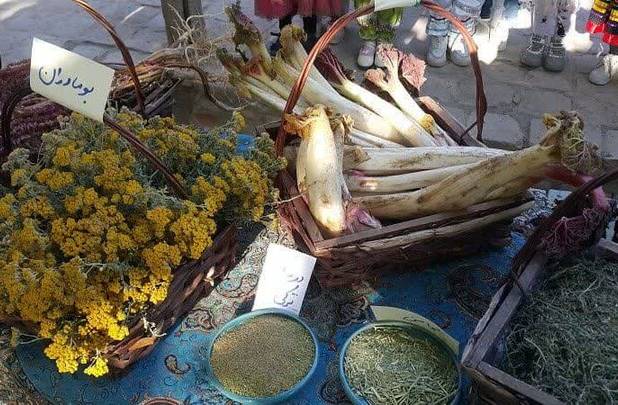 برندسازی گیاهان دارویی تکلیف سازمانی میراث فرهنگی تربت‌حیدریه است