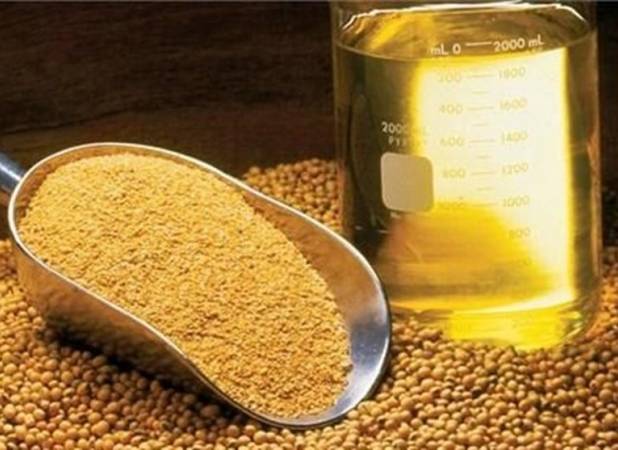 ترخیص روغن خام سویا و آفتابگردان از اول آبان ممنوع شد + سند
