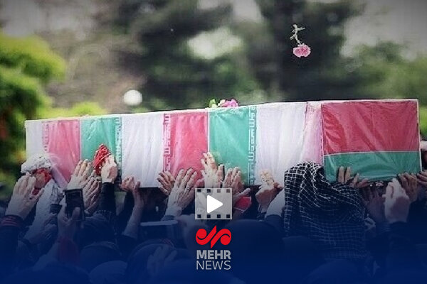 برای این گل قرمز...