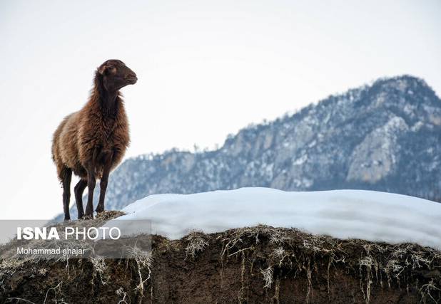 پایداری هوای گیلان طی ۷۲ ساعت آینده