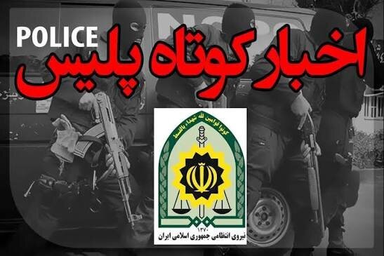 باند سارقان مسلح طلاجات در فارس متلاشی شد/ کشف احشام فاقدمجوز