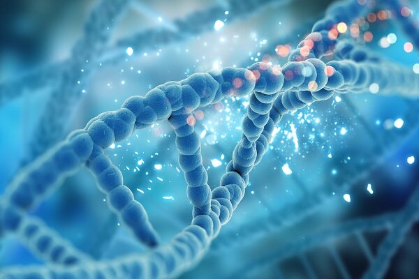DNA در نقش معمار نانو؛ راهی تازه برای طراحی سه‌بعدی مواد پیشرفته