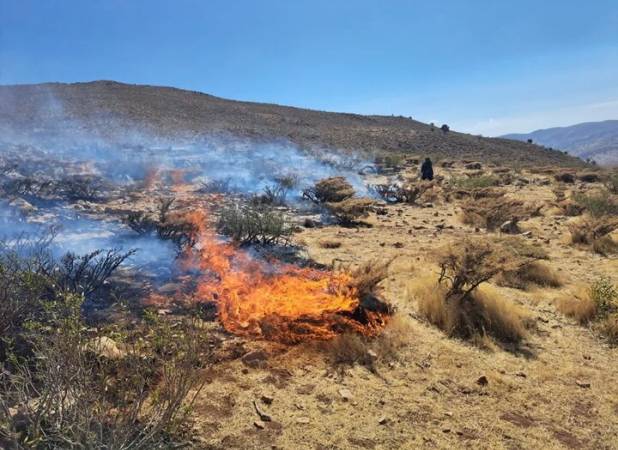 مهار آتش‌سوزی در جنگل‌های مرزن‌آباد؛ لاشبرگ‌ها طعمه حریق شدند
