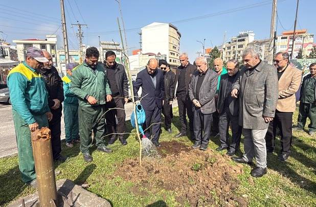 آغاز کاشت ۱۰ هزار اصله نهال همزمان با روز درختکاری در رشت