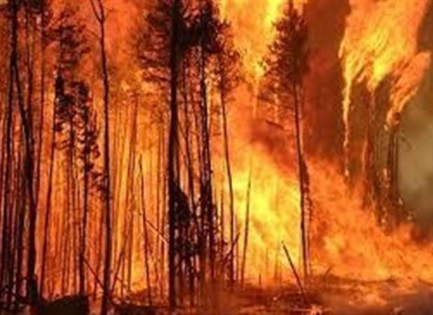 هشدار تخلیه قطب نفت شیل کانادا به خاطر آتش‌سوزی