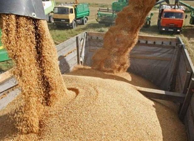آلودگی ۶ تن ذرت سیلوی همدان به "کپک و قارچ" قطعی است؛ وزیر کشاورزی چه چیزی را تکذیب می‌کند؟! + اسناد