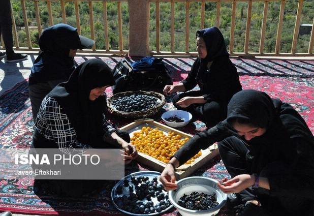 وضعیت اشتغال بانوان کوهسرخ در سایه زیرساخت‌های ناقص اما امیدوار به آینده‌